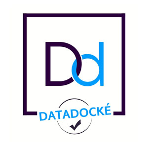 Logo Datadock Delobelle Consulting